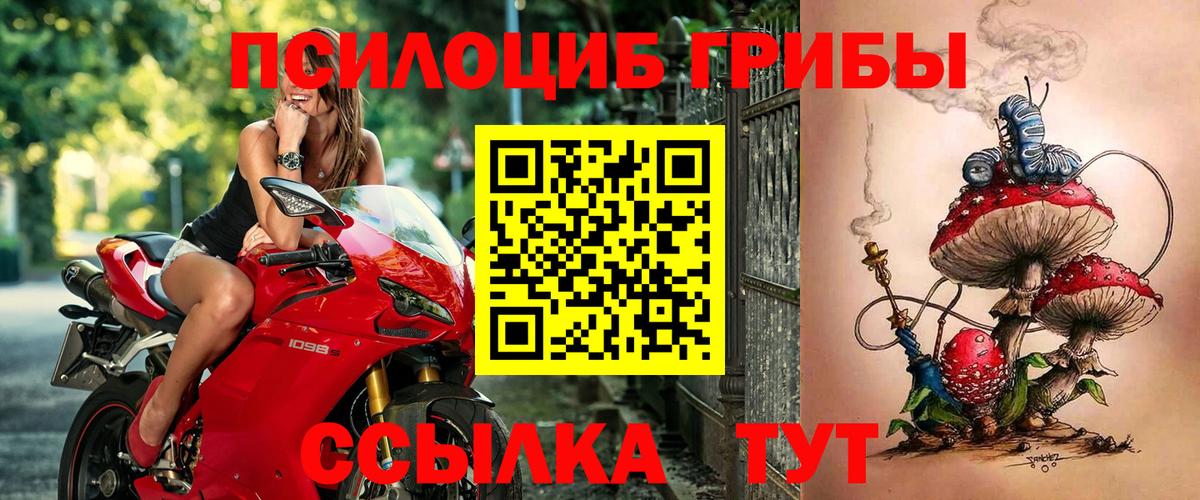 Галлюциногенные грибы Cubensis Среднеуральск